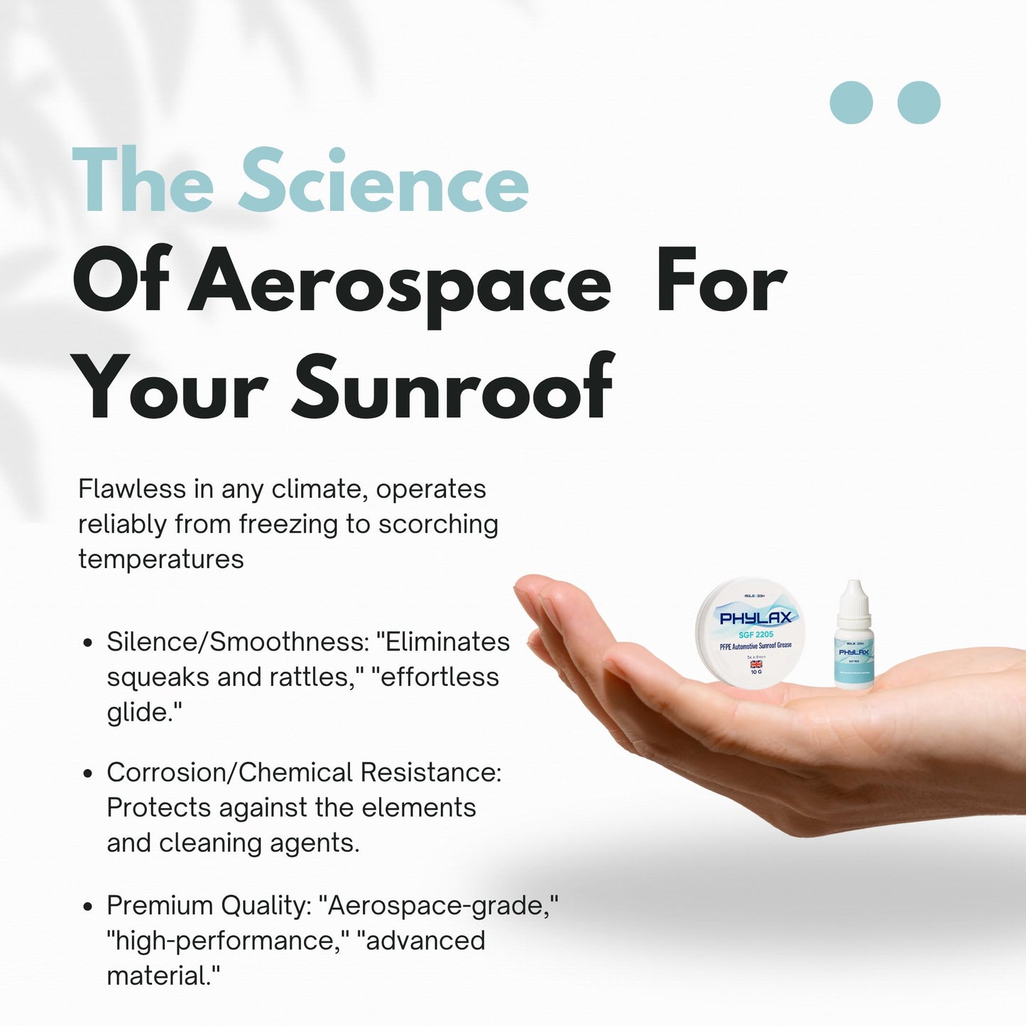 Molevion Phylax Sunroof Lubricant Kit | PFPE PTFE Grease & Oil for Automotive Tracks & Seals
